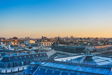 二年级语文上册《植物妈妈有办法》教案设计