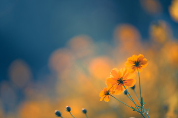 二年级语文上册《植物妈妈有办法》教案设计