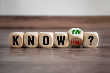 晒小奶猫朋友圈文案搞笑集合四十条