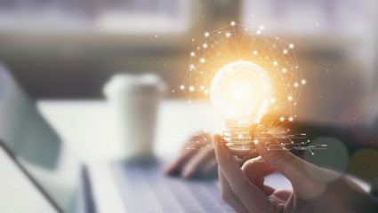 晒小奶猫朋友圈文案搞笑集合四十条