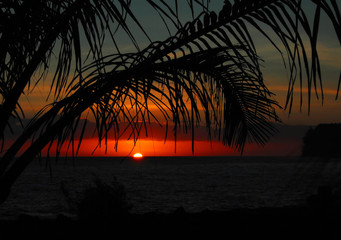 晒小奶猫朋友圈文案搞笑集合四十条