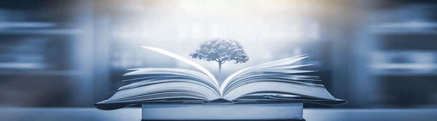 凌渡这款车配置如何-值不值得买-