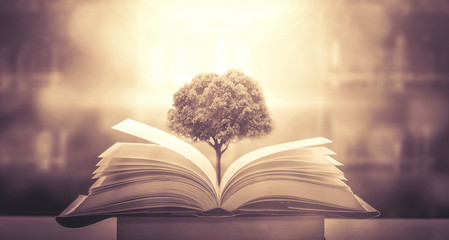 二年级语文上册《植物妈妈有办法》教案设计