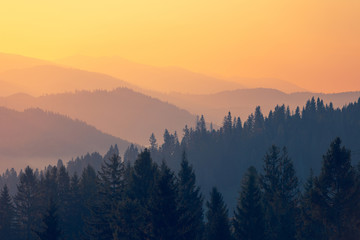 二年级语文上册《植物妈妈有办法》教案设计