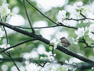 凌渡这款车配置如何-值不值得买-
