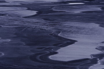 晒小奶猫朋友圈文案搞笑集合四十条