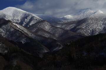 晒小奶猫朋友圈文案搞笑集合四十条