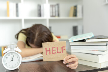 怎么制作苔藓微景观