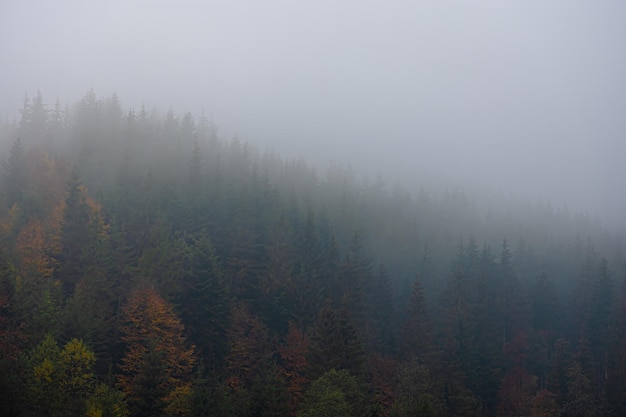 凌渡这款车配置如何-值不值得买-