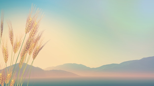 香港的历史简介