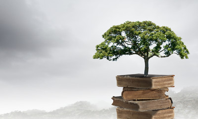 保时捷所有车型名字