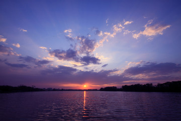 二年级语文上册《植物妈妈有办法》教案设计